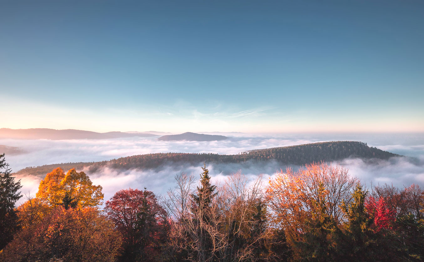 Mer de nuages au Mont Sainte-Odile