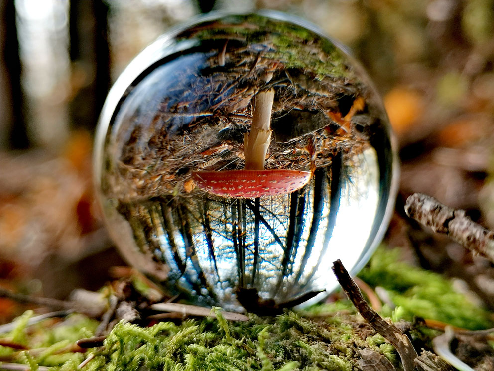 Bulle de rêve à Mollkirch