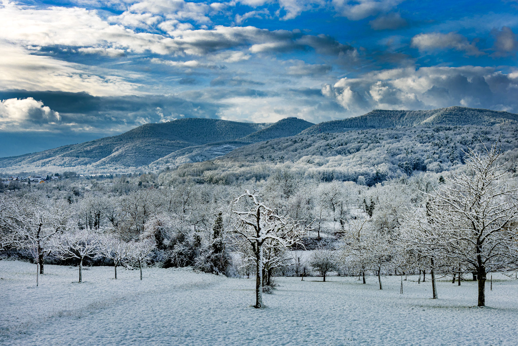 L'hiver autour du Mont Sainte-Odile