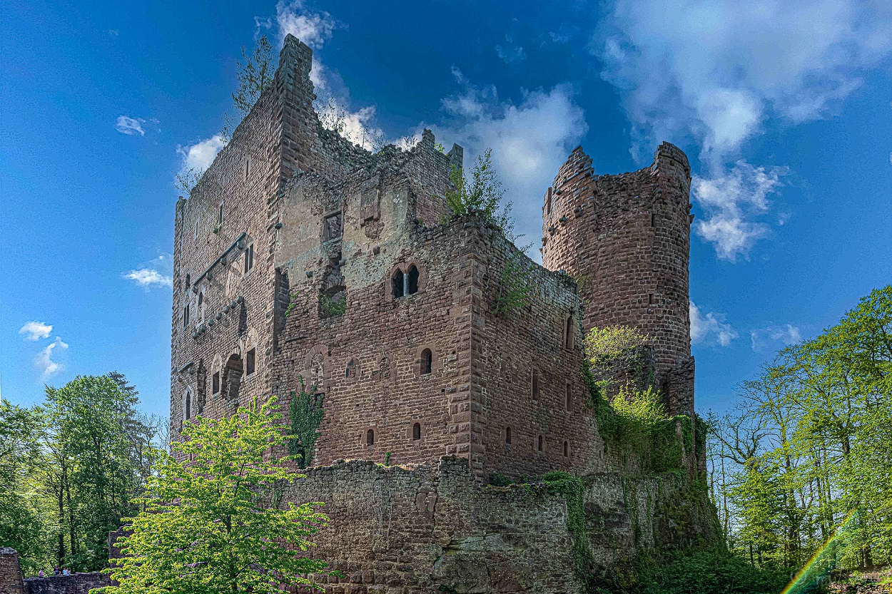Châteaux d'Ottrott - ©RémyPierre