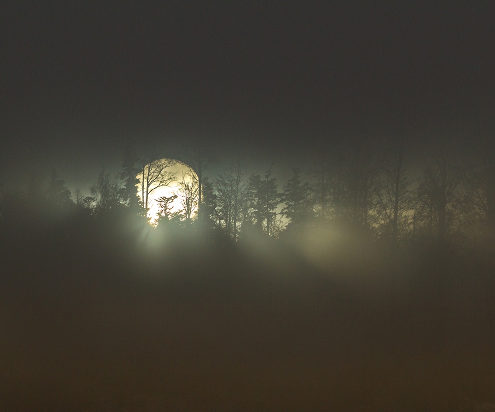 Lune derrière les arbres ©AlainDiebold