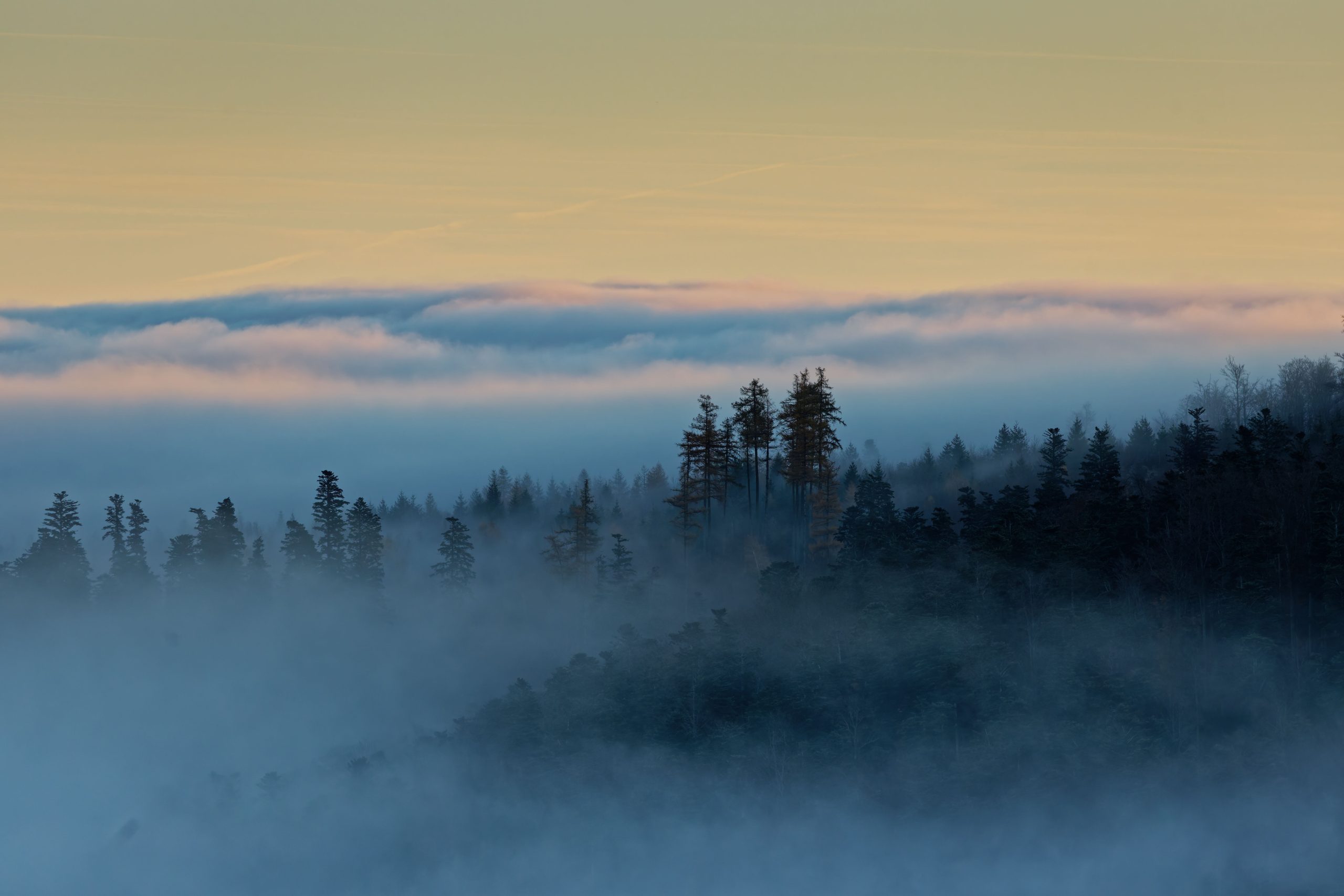 Lever du jour - Grendebruch