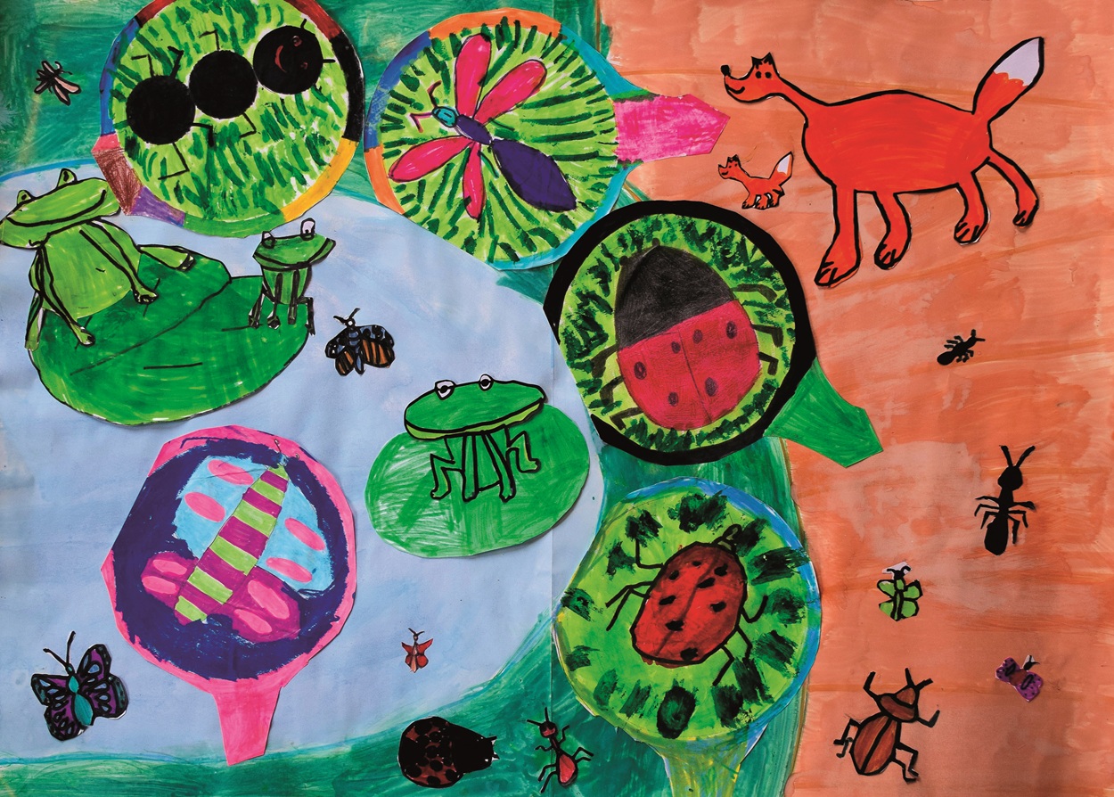 Les insectes de la mare vus à la loupe - Ecole élémentaire Ottrott CP CE1 (4)