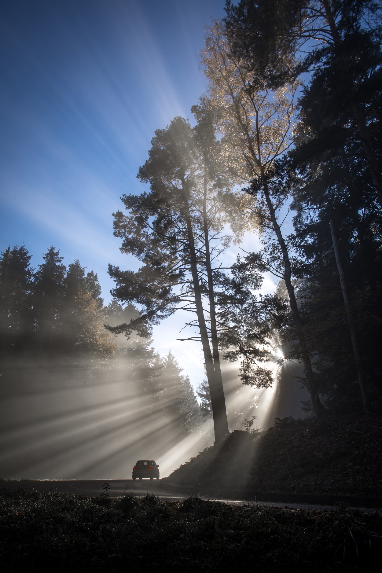Route en forêt - Saint-Nabor ©AlainDietrich