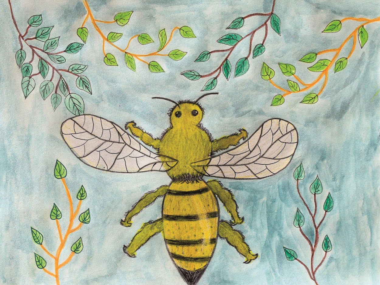 Abeille - Valentine - Couleurs de nature
